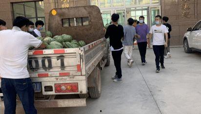 镇平吃瓜新闻最新,揭秘当地热点事件背后的真相与笑料