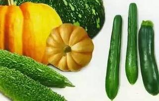 夏吃瓜秋吃果英文,Seasonal Eats: Summer Melons and Autumn Fruits