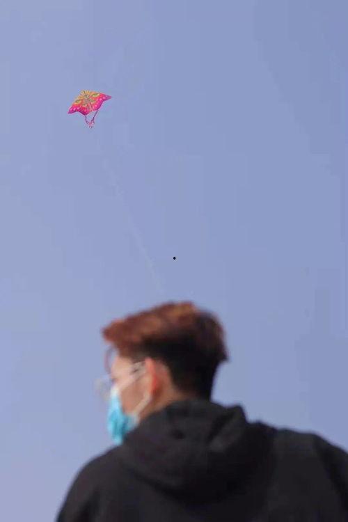 吃瓜磕剧,跟随剧情脚步，品味人生百态