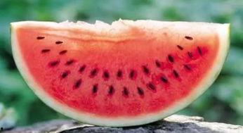 心系天下吃瓜视频