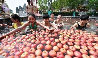 带你吃瓜奇葩游乐圆,带你吃瓜奇葩游乐园，奇趣设施等你来挑战！